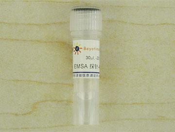 EMSA探针－STAT5 (10μM)